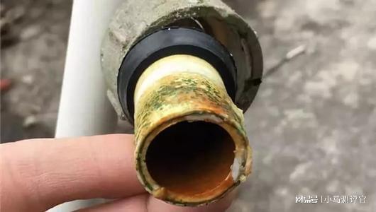 的前置过滤器好？2025年口碑榜单推荐pg模拟器电脑版家用水质改善什么牌子(图15)